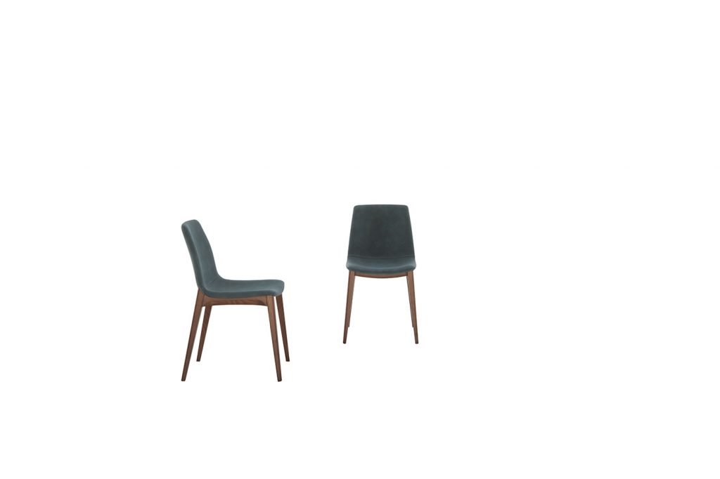Aralia - Image 2