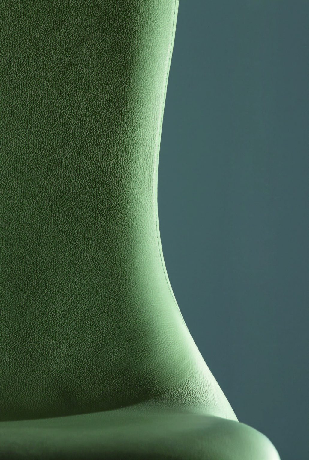 Lisetta - Image 5