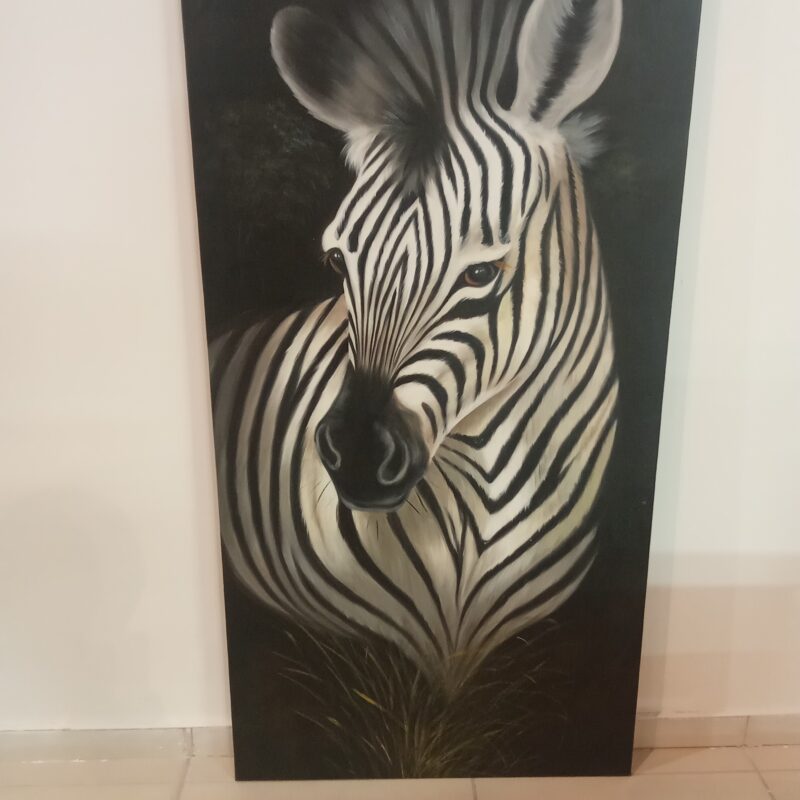 Zebra